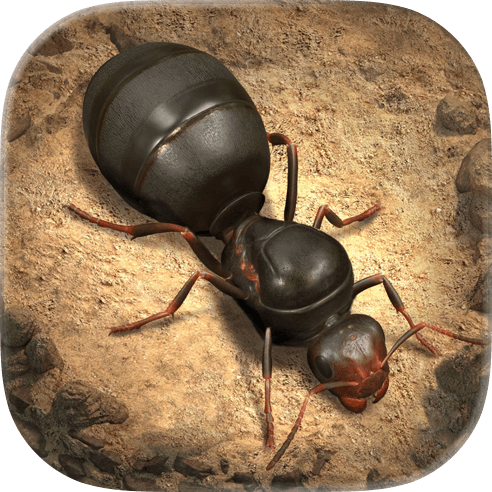 The Ants